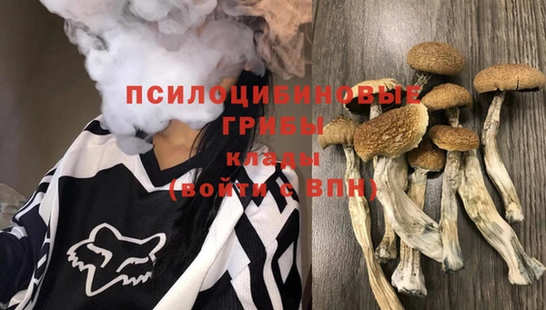 прущая мука Бронницы