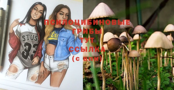 тгк Бугульма