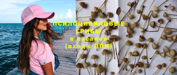 прущая мука Бронницы