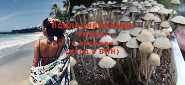 MDMA Бородино