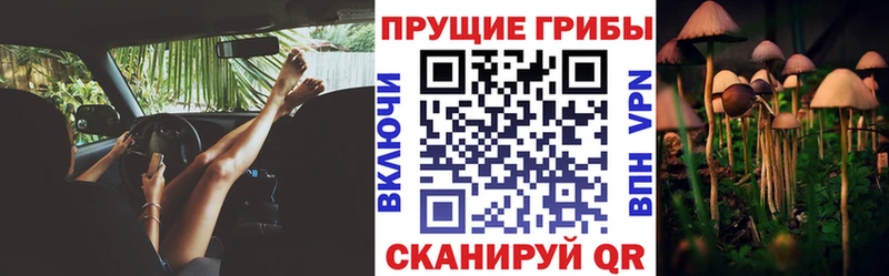 Купить  Белый  Псилоцибиновые грибы ЛСД 